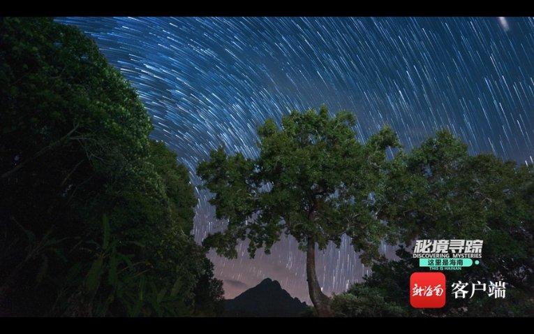 特战英雄