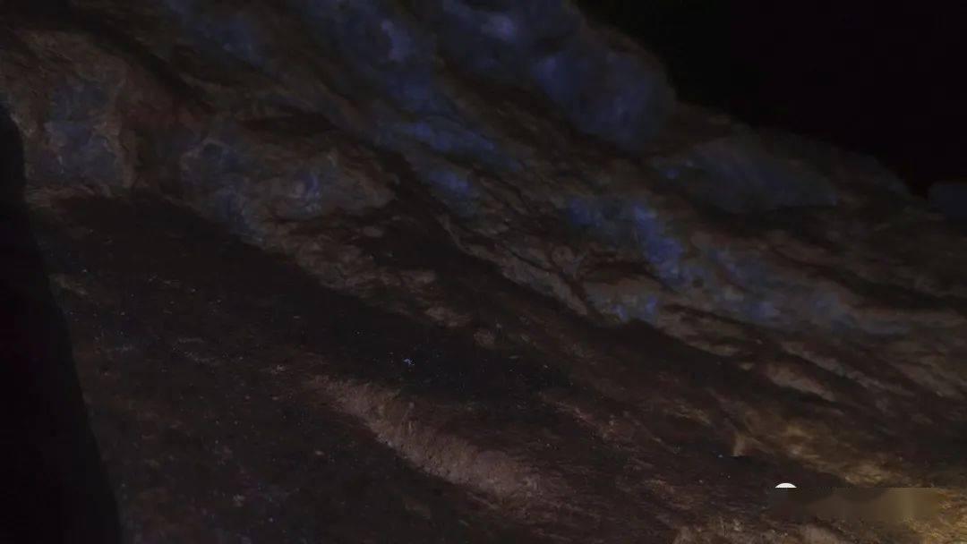 燃烧吧大脑免广告最新版